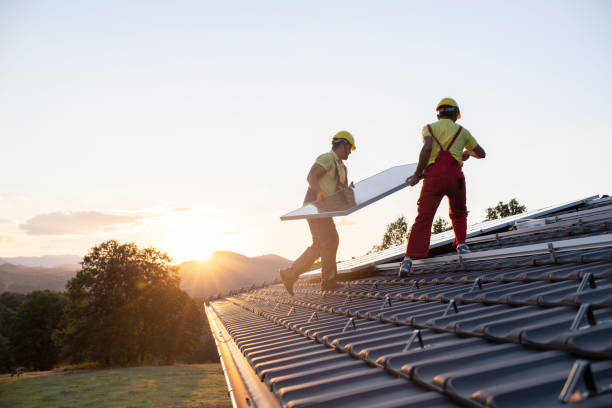 Best Chimney Flashing Repair  in Raymondville, TX