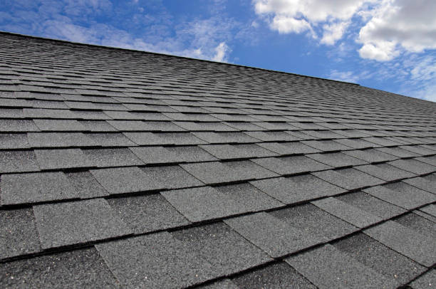 Best Wood Shake Roofing  in Raymondville, TX